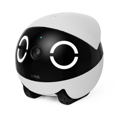 Robot monitorujący dla zwierząt ENABOT Rola Mini
