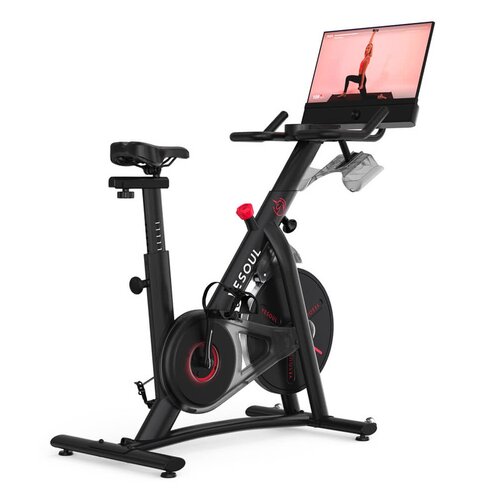 Rower spinningowy YESOUL G1M Plus Czarny
