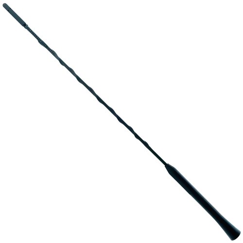 Antena samochodowa EINPARTS EPCA01