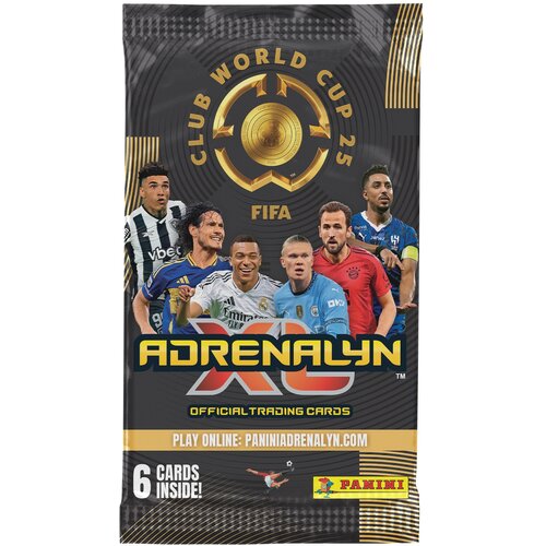 Karty PANINI FIFA Club World Cup 2025 PAN02286