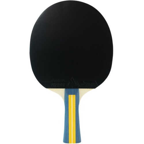 Paletka do ping ponga JOOLA Team Master