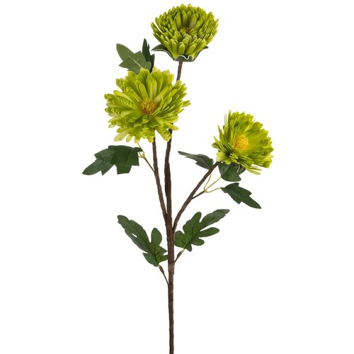 Kwiat dekoracyjny EUROFIRANY Flore 470827 Zielony
