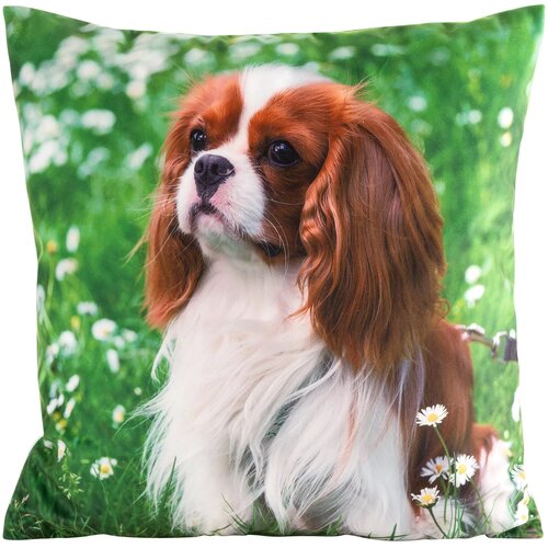 Na zdjęciu znajduje się zielona poszewka z nadrukiem przedstawiającym psa na tle trawy i stokrotek. Produkt to "Poszewka EUROFIRANY Animal 74 45 x 45 cm Zielony".