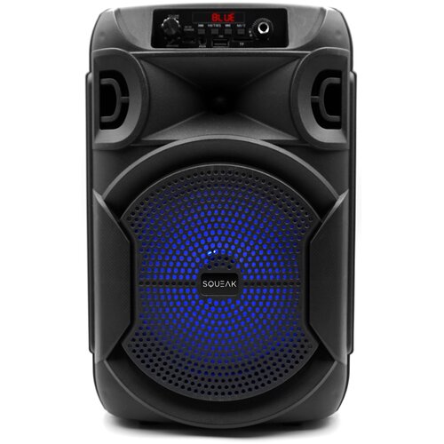 Głośnik mobilny SQUEAK SQ1006 Radio FM Czarny