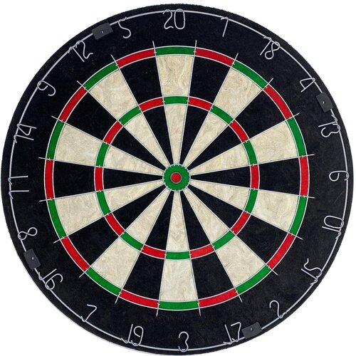 Tarcza do darta ENERO Pro Official Championship