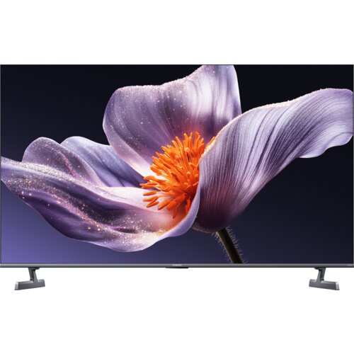 Telewizor z wyświetlaczem prezentującym zbliżenie na fioletowy kwiat z pomarańczowym środkiem na ciemnym tle. Na dolnej ramce widoczny jest napis "XIAOMI".