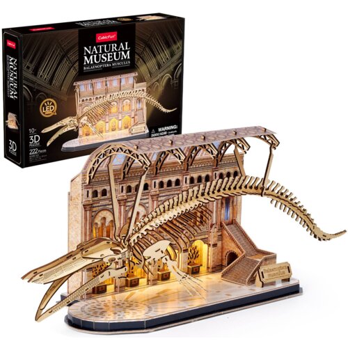 Na zdjęciu znajduje się model 3D przedstawiający szkielet płetwala błękitnego w muzeum, z podświetleniem LED, oraz pudełko z napisem "CubicFun Natural Museum Balaenoptera Musculus". Na pudełku widnieje informacja o liczbie elementów: "222 Pieces" oraz ost