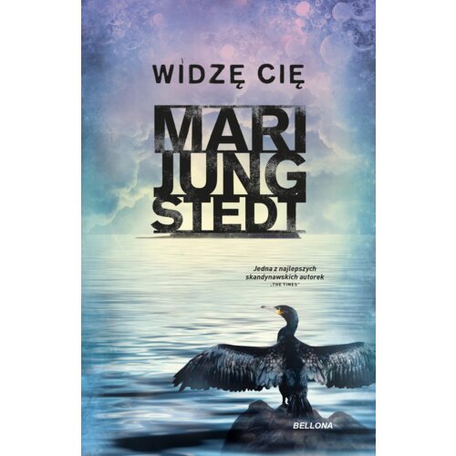 Widzę cię. Inspektor Anders Knutas. Tom 15
