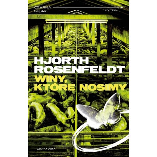 Winy, które nosimy. Sebastian Bergman. Tom 8