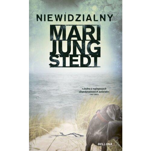 Niewidzialny. Inspektor Anders Knutas. Tom 1