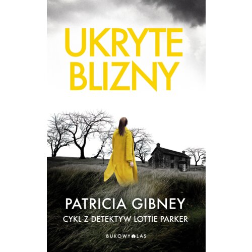 Ukryte blizny. Lottie Parker. Tom 2
