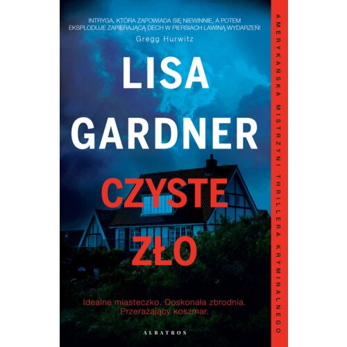 Czyste zło. Detektyw D.D. Warren. Tom 11