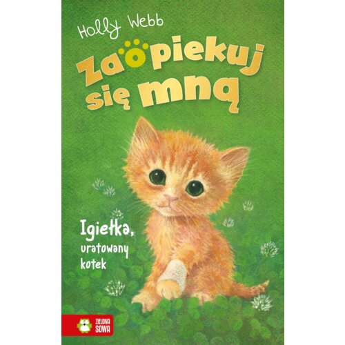Igiełka, uratowany kotek. Zaopiekuj się mną