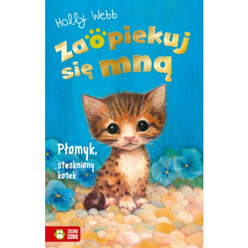 Płomyk, stęskniony kotek. Zaopiekuj się mną