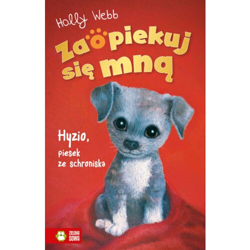 Hyzio, piesek ze schroniska. Zaopiekuj się mną