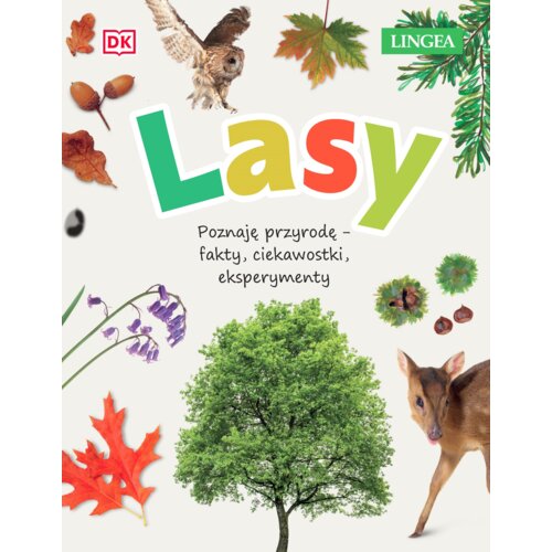 Lasy. Poznaję przyrodę, fakty, ciekawostki, eksperymenty