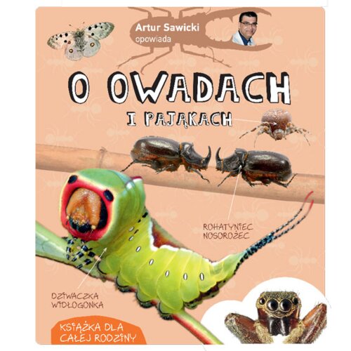 Artur Sawicki opowiada o owadach i pająkach