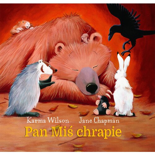 Pan Miś chrapie