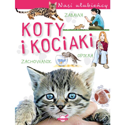 Nasi ulubieńcy. Koty i kociaki