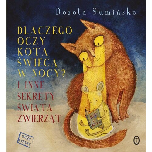 Dlaczego oczy kota świecą w nocy?