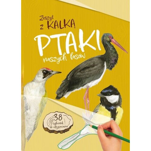 Ptaki naszych lasów. Zeszyt z kalką