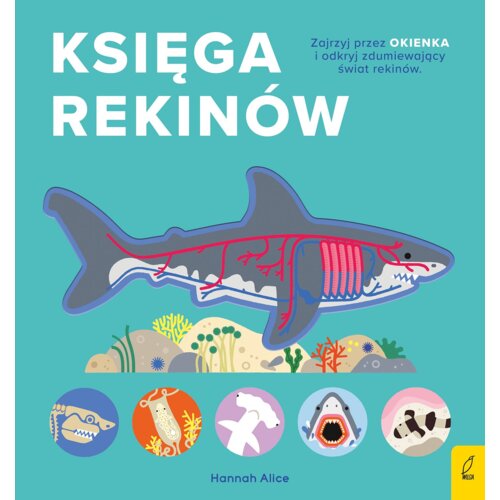 Encyklopedia z folią. Księga rekinów