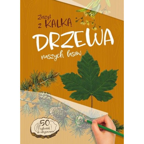 Drzewa naszych lasów. zeszyt z kalką