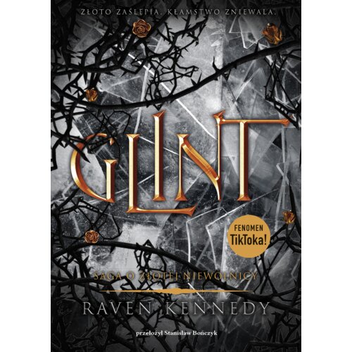 Glint. Saga o złotej niewolnicy. Tom 2
