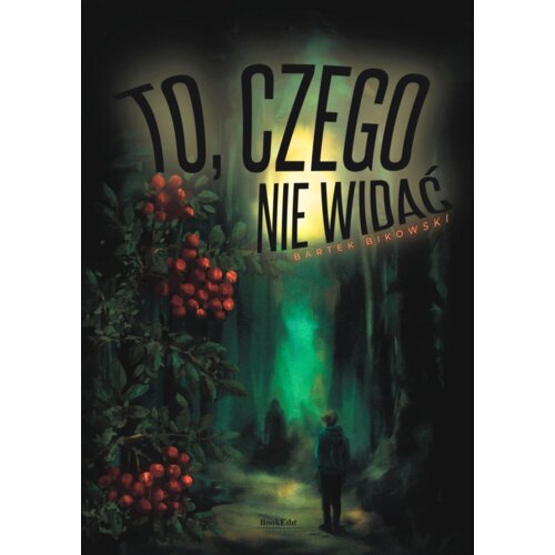 To, czego nie widać