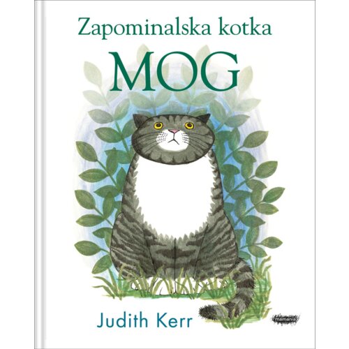 Zapominalska kotka Mog