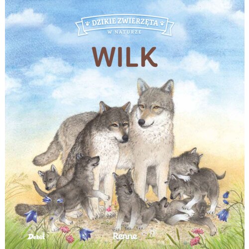 Wilk. Dzikie zwierzęta w naturze