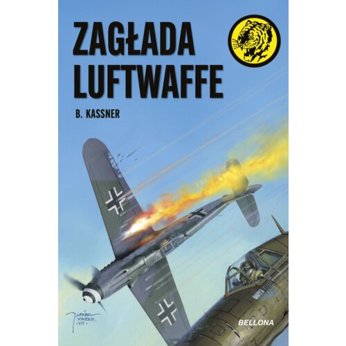 Zagłada Luftwaffe