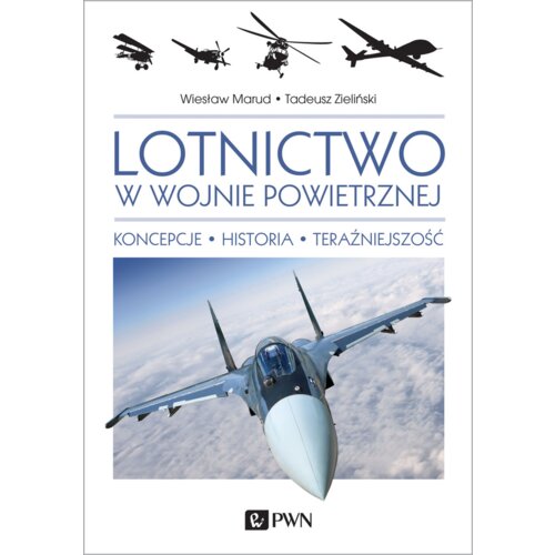 Lotnictwo w wojnie powietrznej