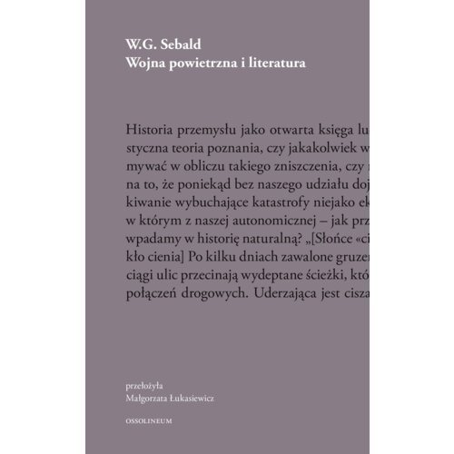 Wojna powietrzna i literatura