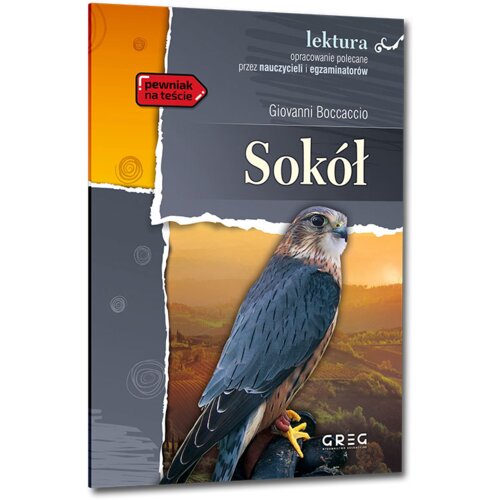 Sokół. Lektura z opracowaniem