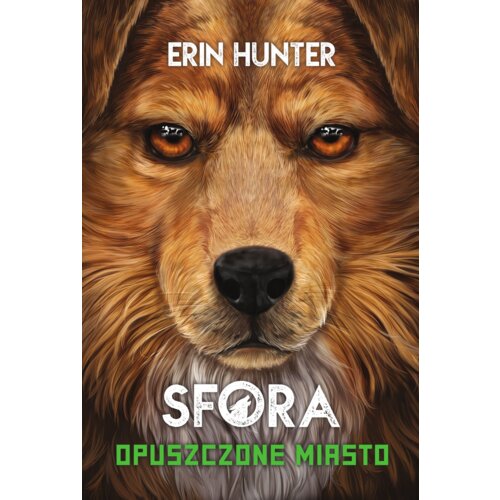 Opuszczone miasto. Sfora. Tom 1