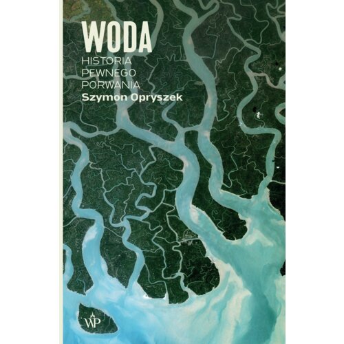 Woda. Historia pewnego porwania