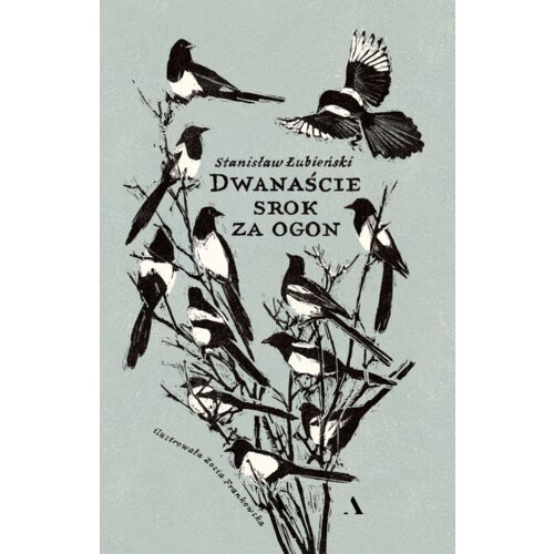 Dwanaście srok za ogon