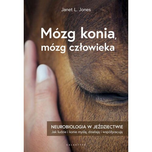 Mózg konia, mózg człowieka. Neurobiologia w jeździectwie