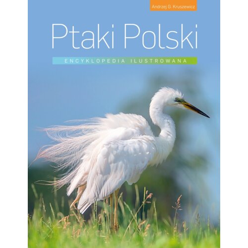 Encyklopedia ilustrowana. Ptaki Polski