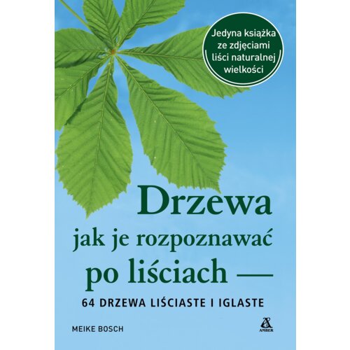 Drzewa - jak je rozpoznawać po liściach