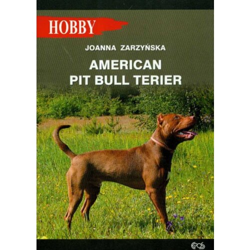 American pit bull terier