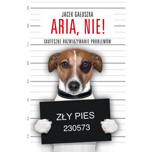 Aria, nie! Skuteczne rozwiązywanie problemów