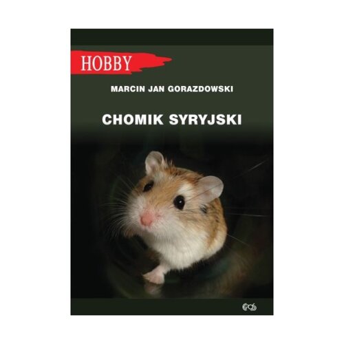 Chomik syryjski
