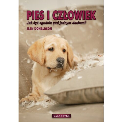 Pies i człowiek