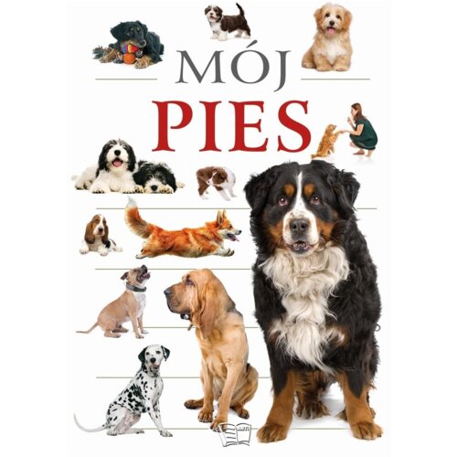 Mój pies