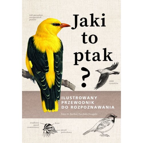 Jaki to ptak? Ilustrowany przewodnik...