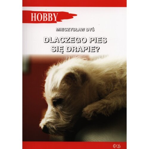 Dlaczego pies się drapie?