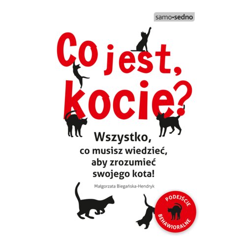 Co jest, kocie? Wszystko, co musisz wiedzieć, aby zrozumieć swojego kota