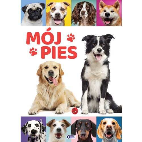 Mój pies